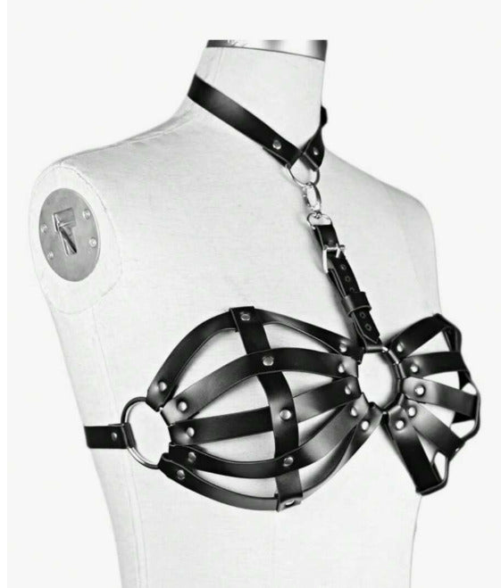 Brasier BDMS