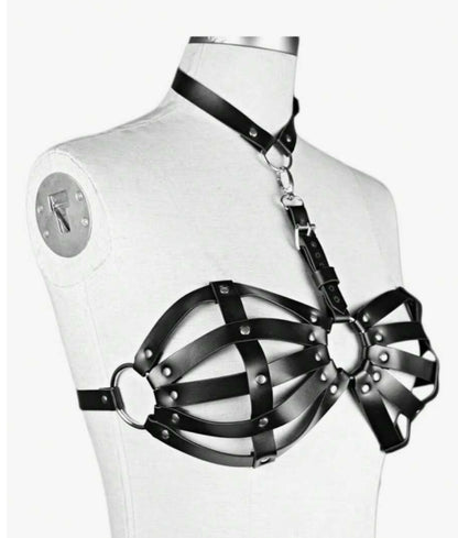 Brasier BDMS